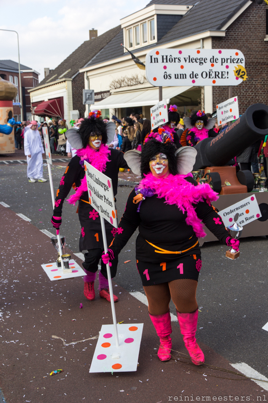 Carnavalsoptocht Horst 2014-98